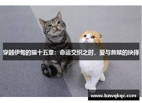 穿越伊甸的猫十五章：命运交织之时，爱与救赎的抉择